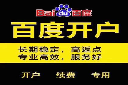 某企业SEM推广策略的调整与效果提升